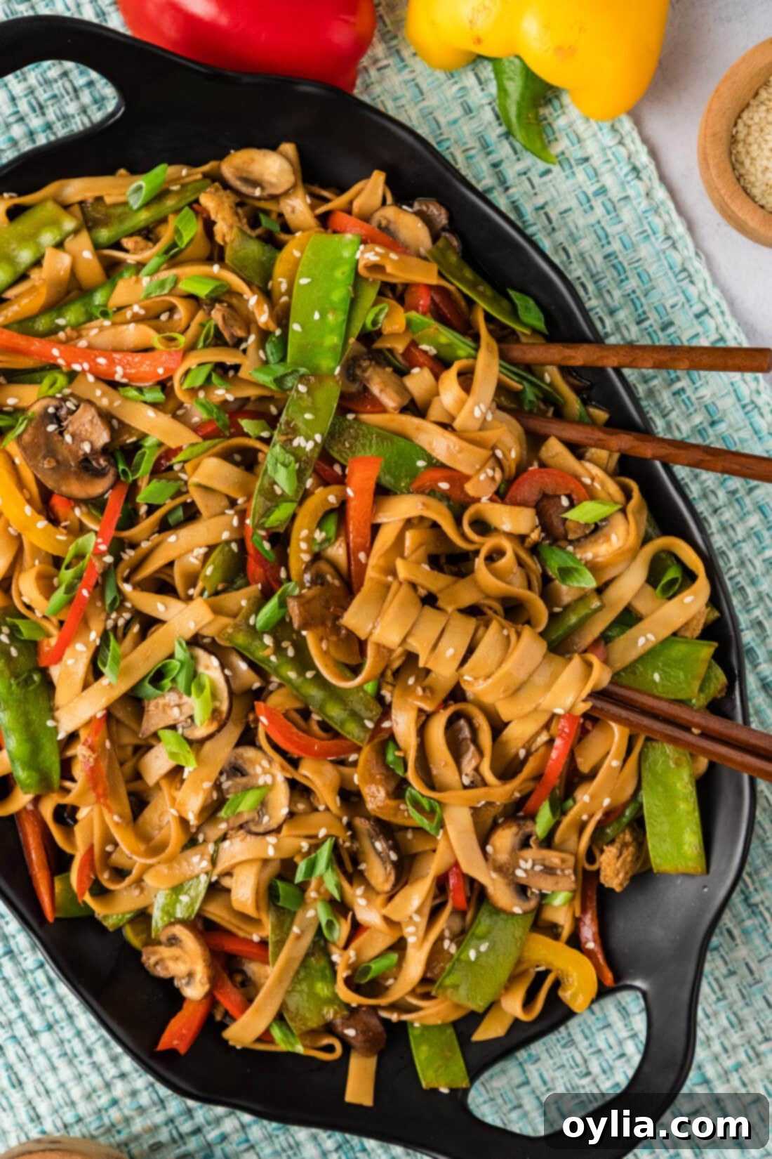Vibrant Veggie Lo Mein 2 Platter of Vegetable Lo Mein with chopsticks resting in it