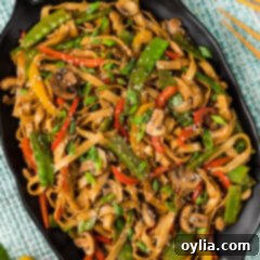 Vibrant Veggie Lo Mein 12 Close up photo of a platter of Vegetable Lo Mein