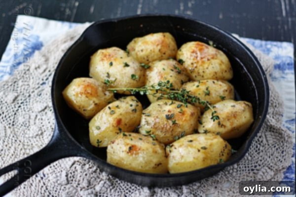 A close-up shot of crispy cast iron skillet roast potatoes, promising a delightful culinary experience.