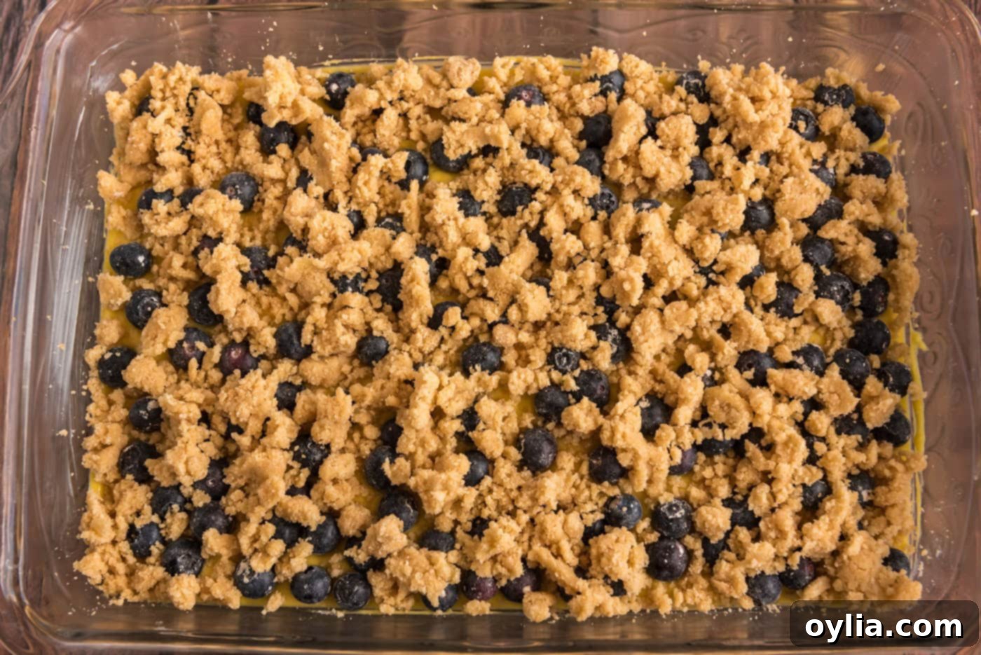Lemon blueberry cake batter topped with streusel, ready for baking.