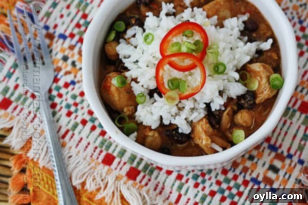 A close up overhead of a white bowl filled with three bean salsa chicken and rice.