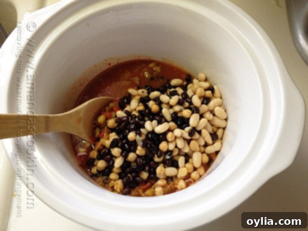 Add drained beans to salsa mixture in the crock pot