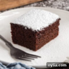 Close up photo of Wacky Cake on a plate, showing its moist crumb.