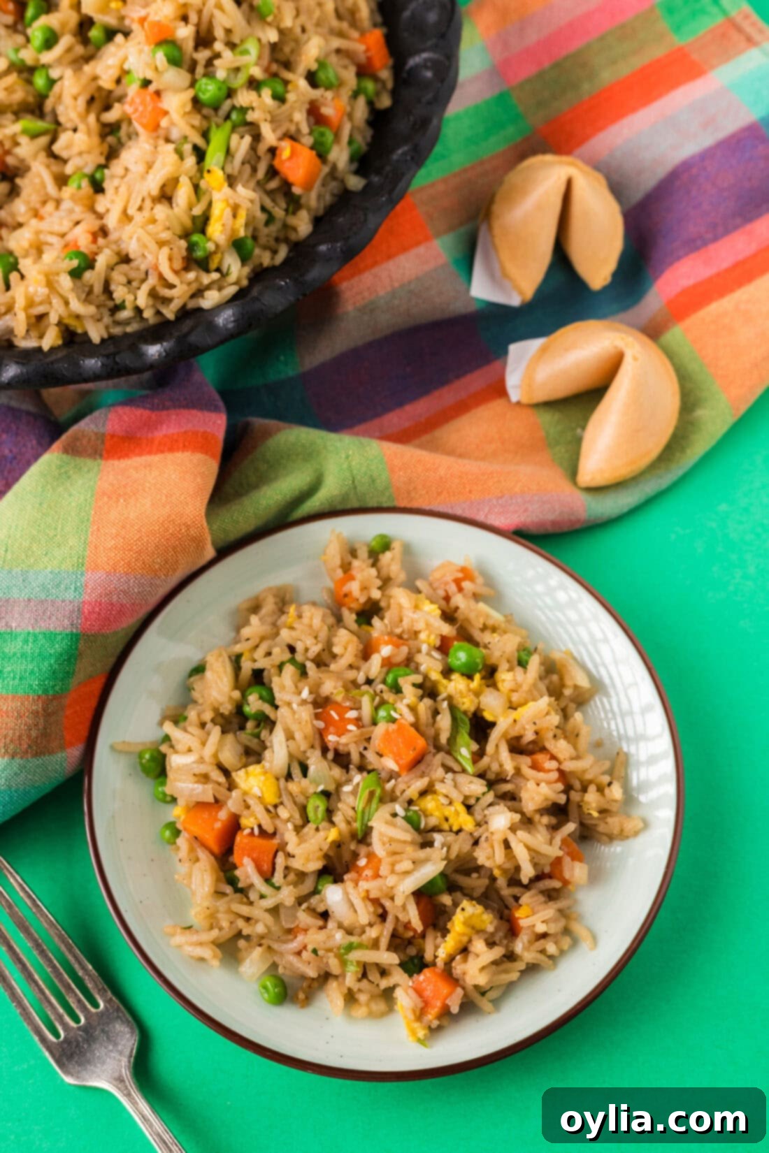 The Secret to Perfect Fried Rice 14 Plate of Vegetable Fried Rice