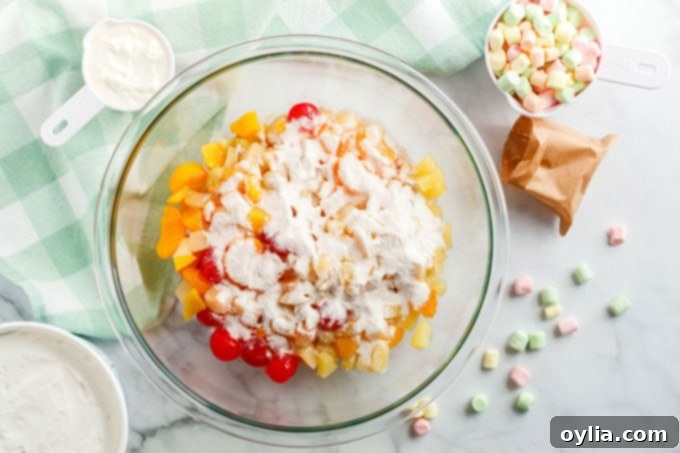 Divine Ambrosia Fruit Medley 5 bowl of fruit salad with pudding mix