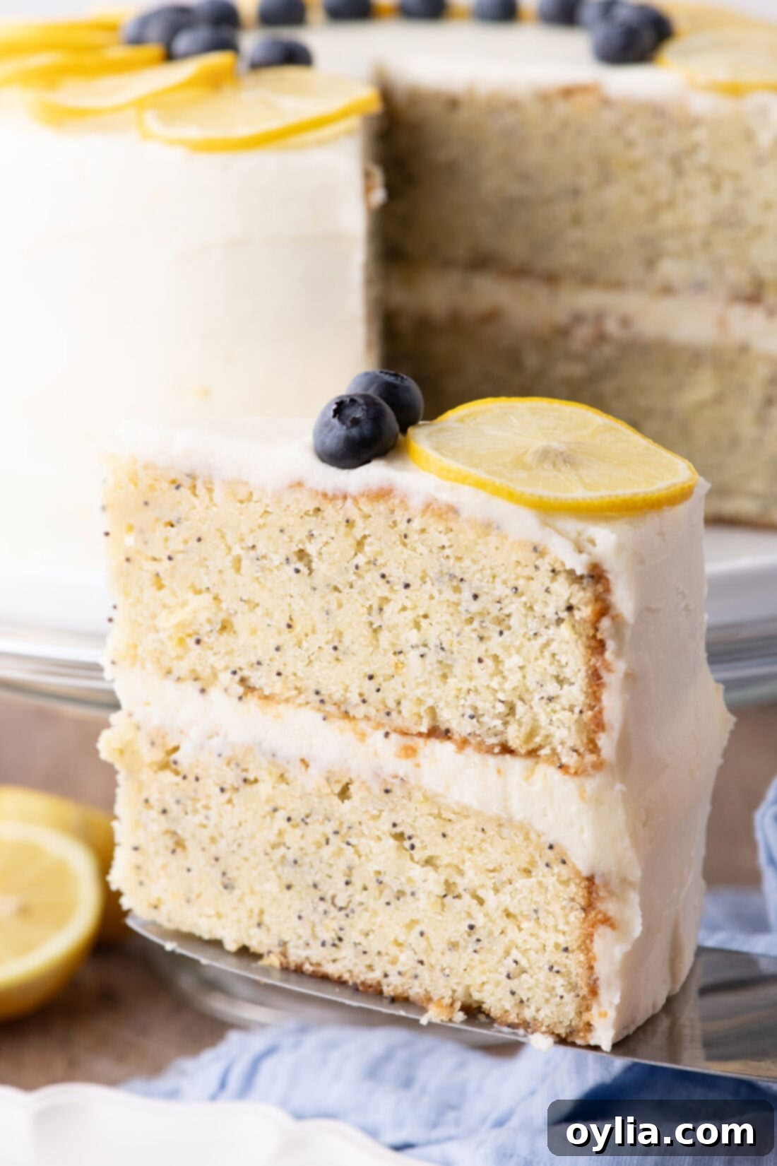 Slice of Lemon Poppy Seed Cake with the rest of the cake behind it, garnished with lemon slices and blueberries