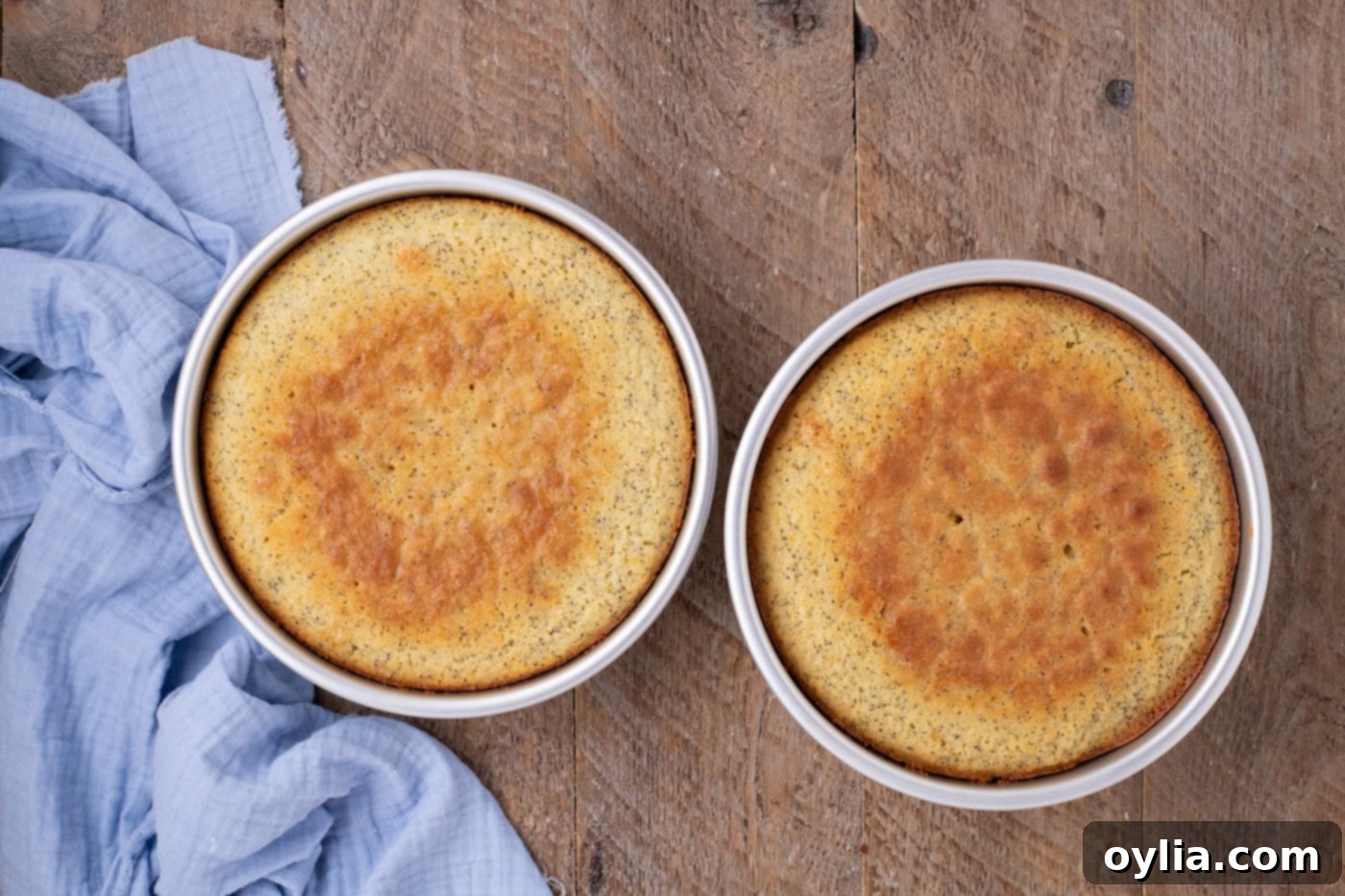 Baked lemon poppy seed cakes cooling in their pans on a wire rack
