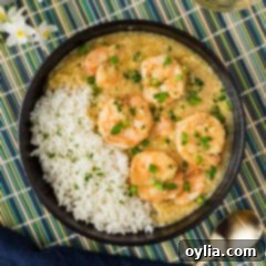 Bowl of rice and Shrimp with Lobster Sauce, a perfect meal