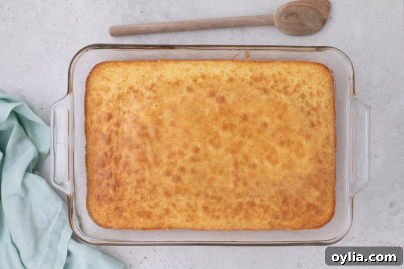 baked cake in a dish