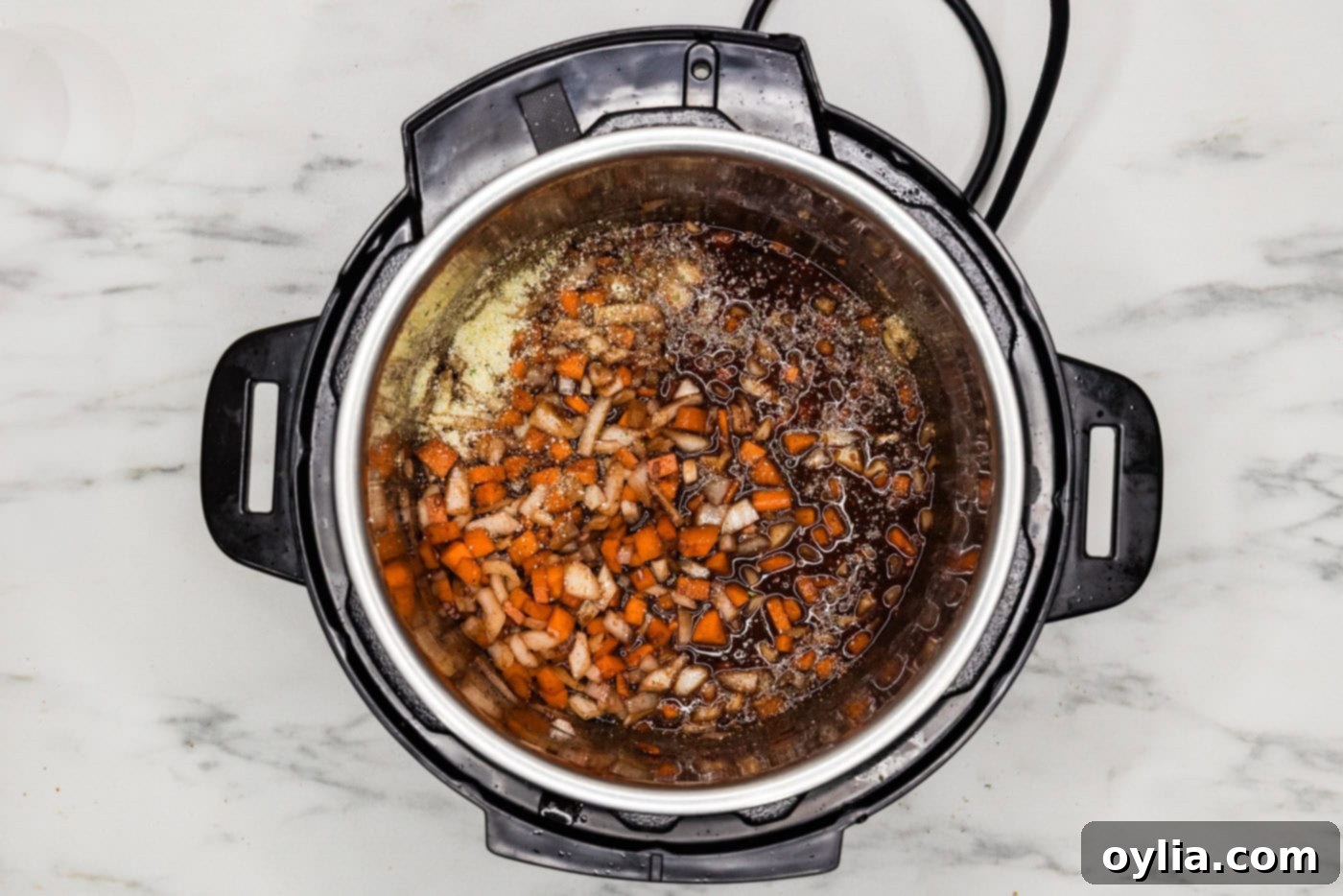 A mix of vegetables and seasonings, including red wine, garlic, carrots, and onions, being added to the Instant Pot.
