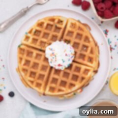A beautifully golden and fluffy Cake Mix Waffle, ready to be served