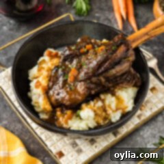 Braised Lamb Shank in a bowl served over mashed potatoes