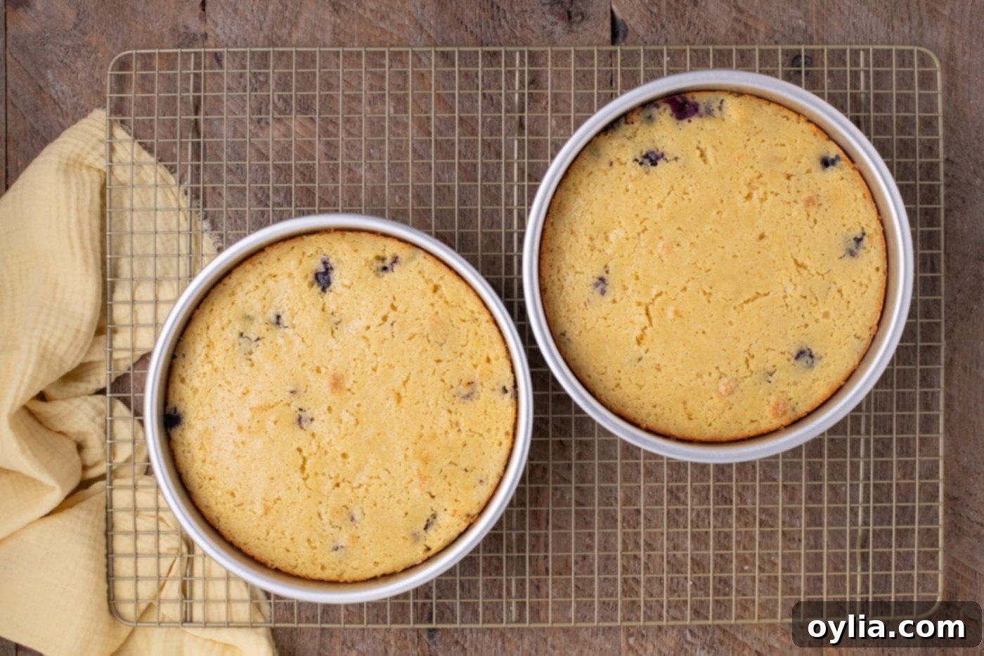 baked lemon blueberry cake in pans