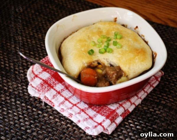 Beef Stew Biscuit Pot Pie - A close-up of a rustic individual serving of beef stew topped with a golden biscuit.