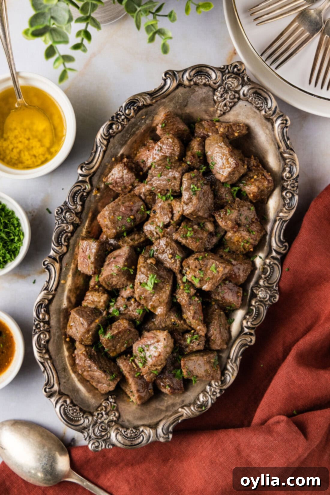 Your New Favorite Air Fryer Steak Bites 2 A vibrant platter of golden-brown Air Fryer Steak Bites, perfectly cooked and ready to serve.