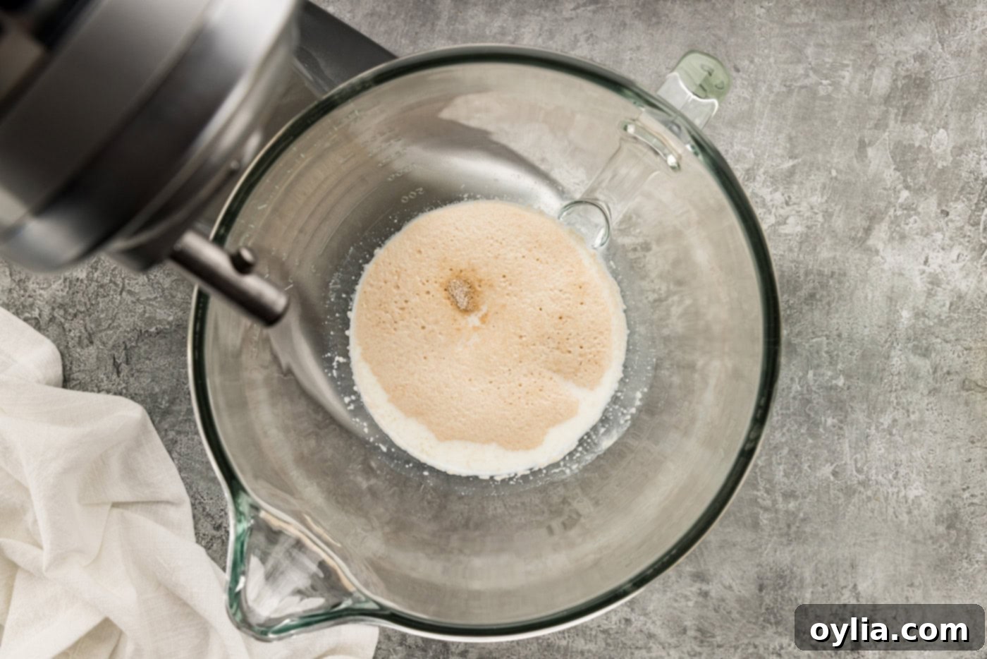sugar sprinkled over yeast and milk in a bowl