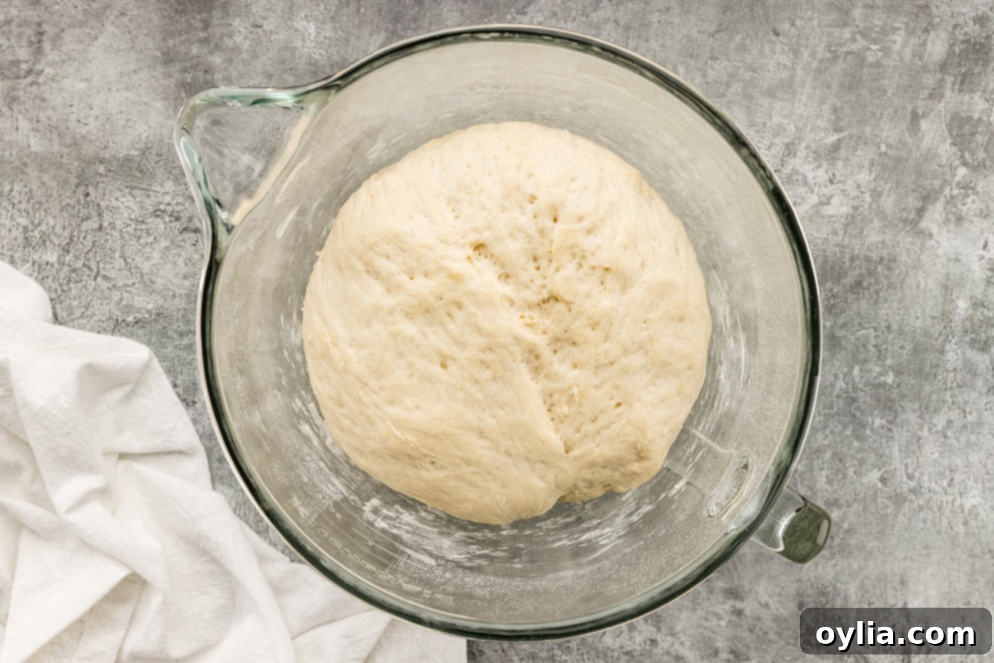 dough risen in a bowl