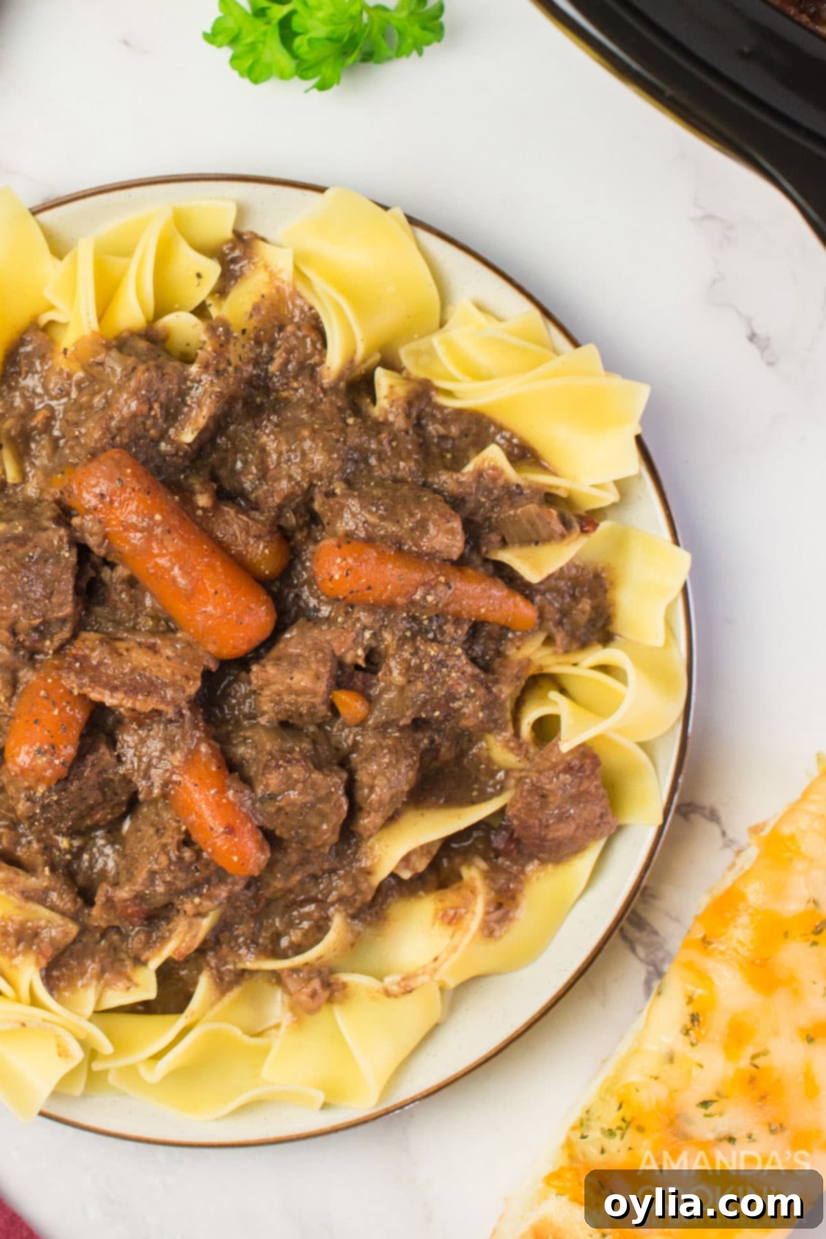 plate of beef burgundy on egg noodles