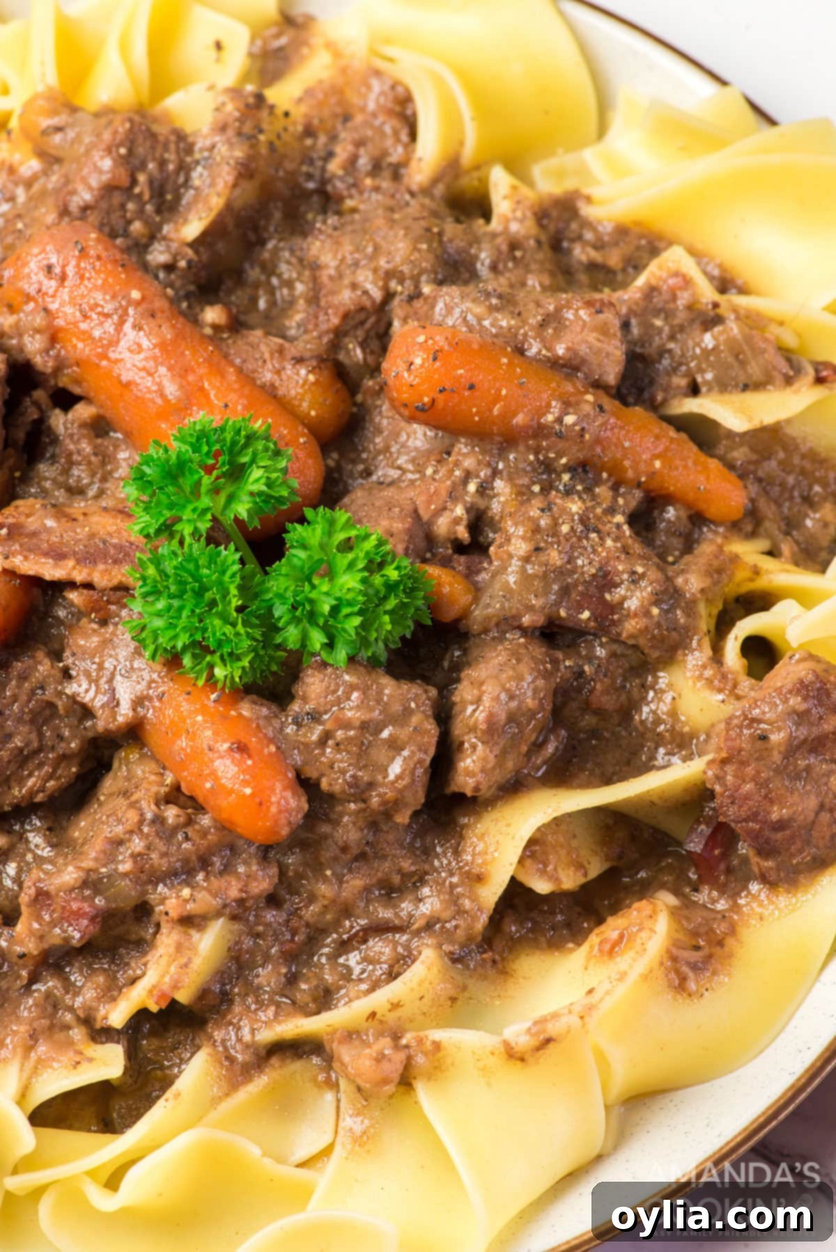 cloe up of beef burgundy on egg noodles