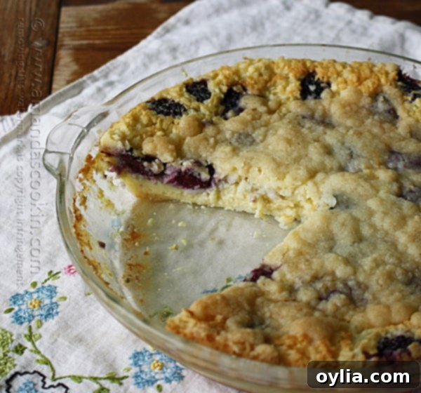 Blackberry Coconut Impossible Pie