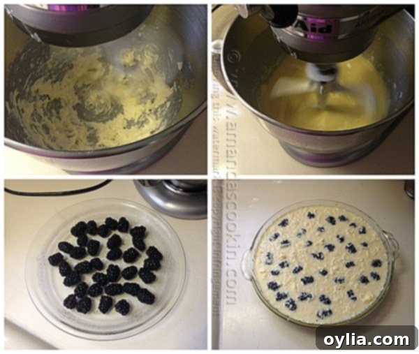 Blackberry Coconut Impossible Pie