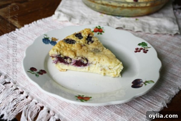 Blackberry Coconut Impossible Pie