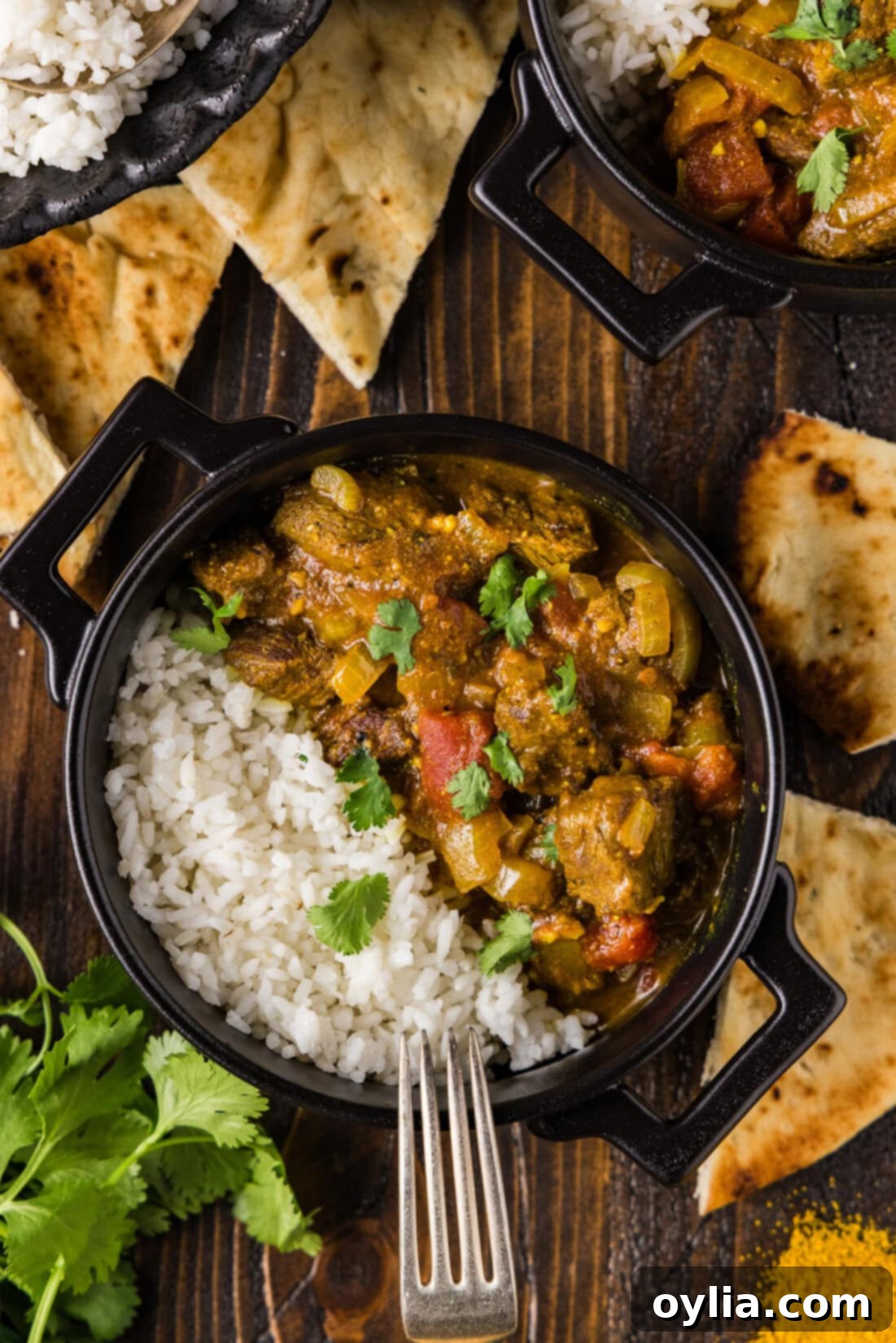Bowl of Beef Curry and rice with a fork resting to the side