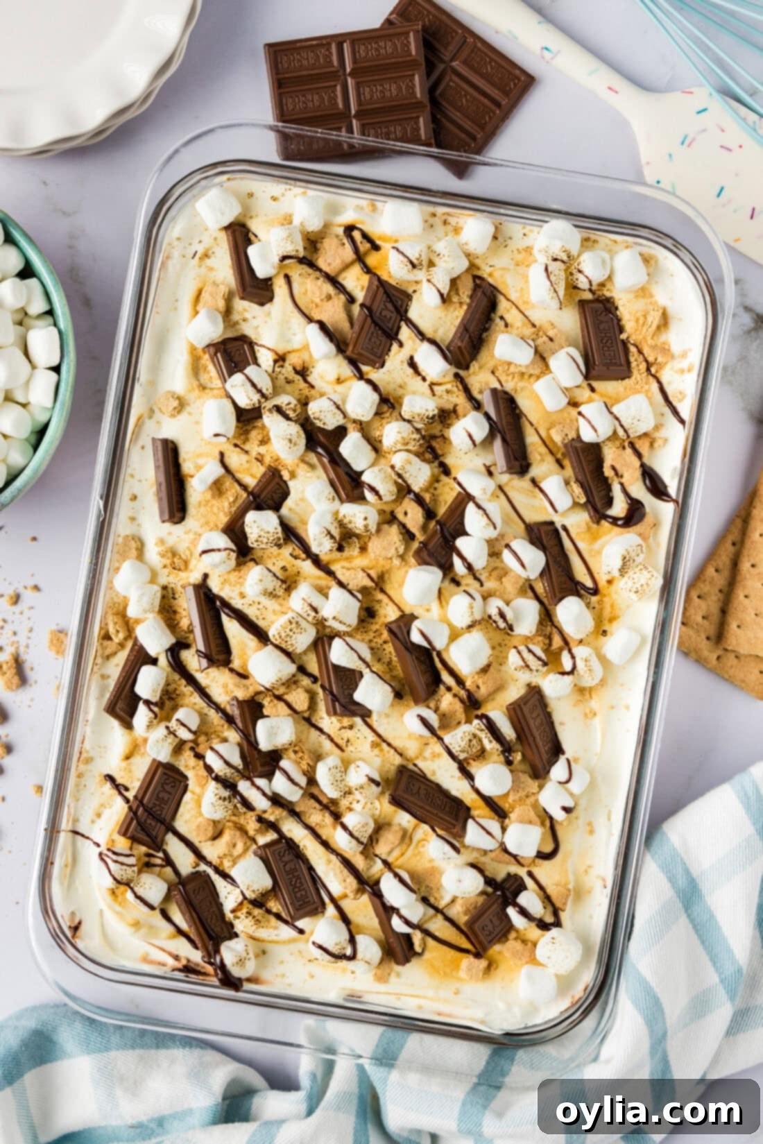 Ultimate S'mores Lasagna 2 Pan of S'mores Lasagna ready to be served, showcasing all the delicious layers and toasted marshmallow topping