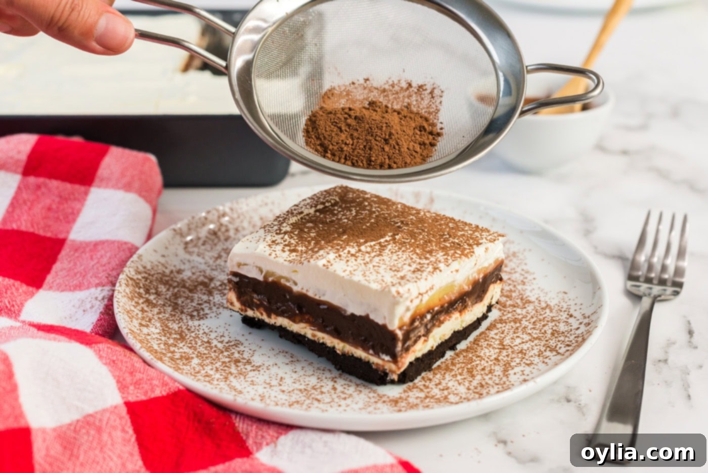 A delicate dusting of cocoa powder being sifted over a serving of Sex in a Pan, adding an elegant final touch before serving.