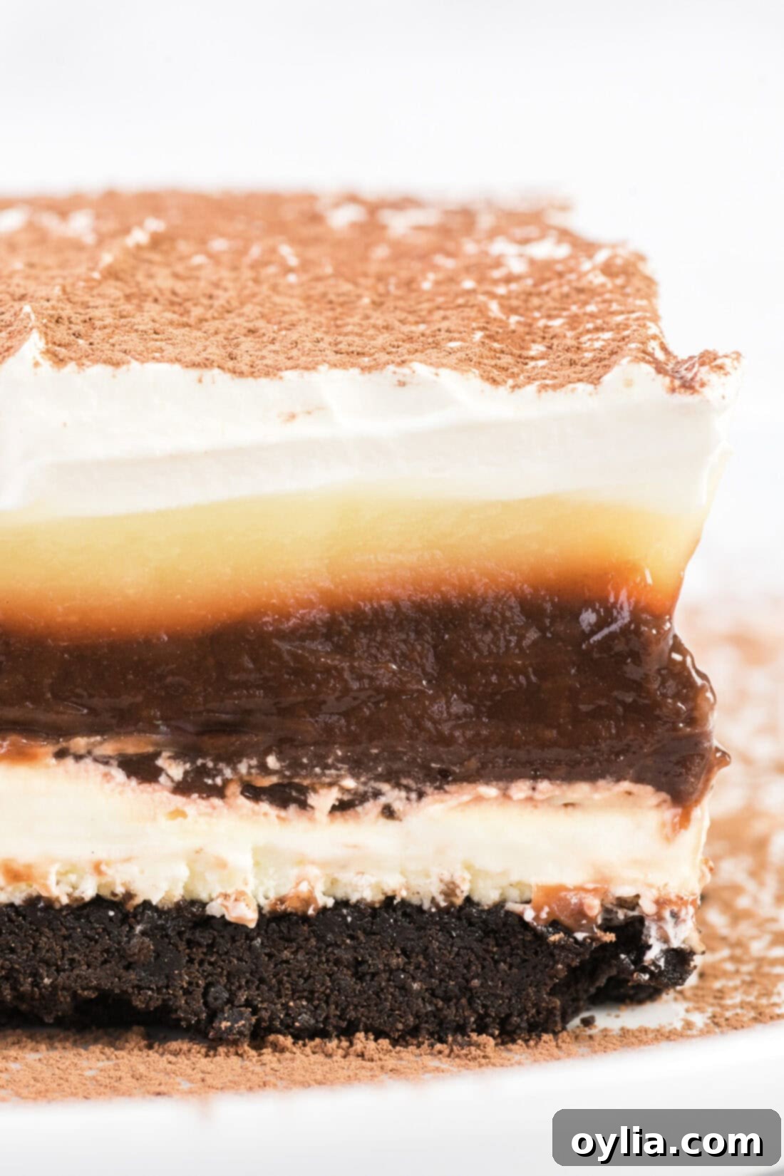 Close-up view of the multi-layered Sex in a Pan dessert in a baking dish, showing the distinct chocolate crust, white cream cheese layer, two pudding layers, and a fluffy white topping.