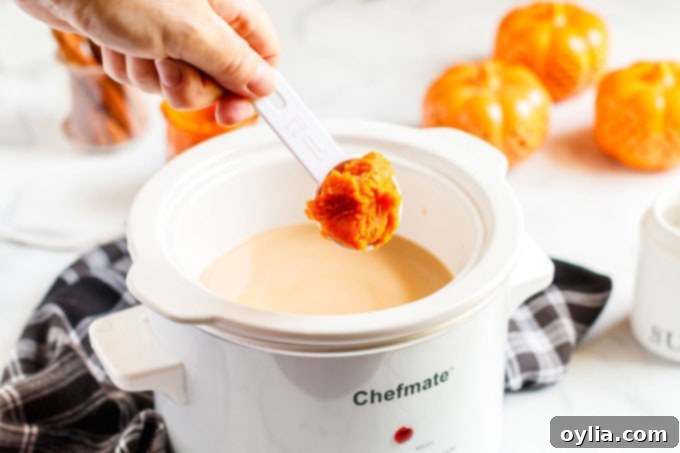 add pumpkin to crockpot