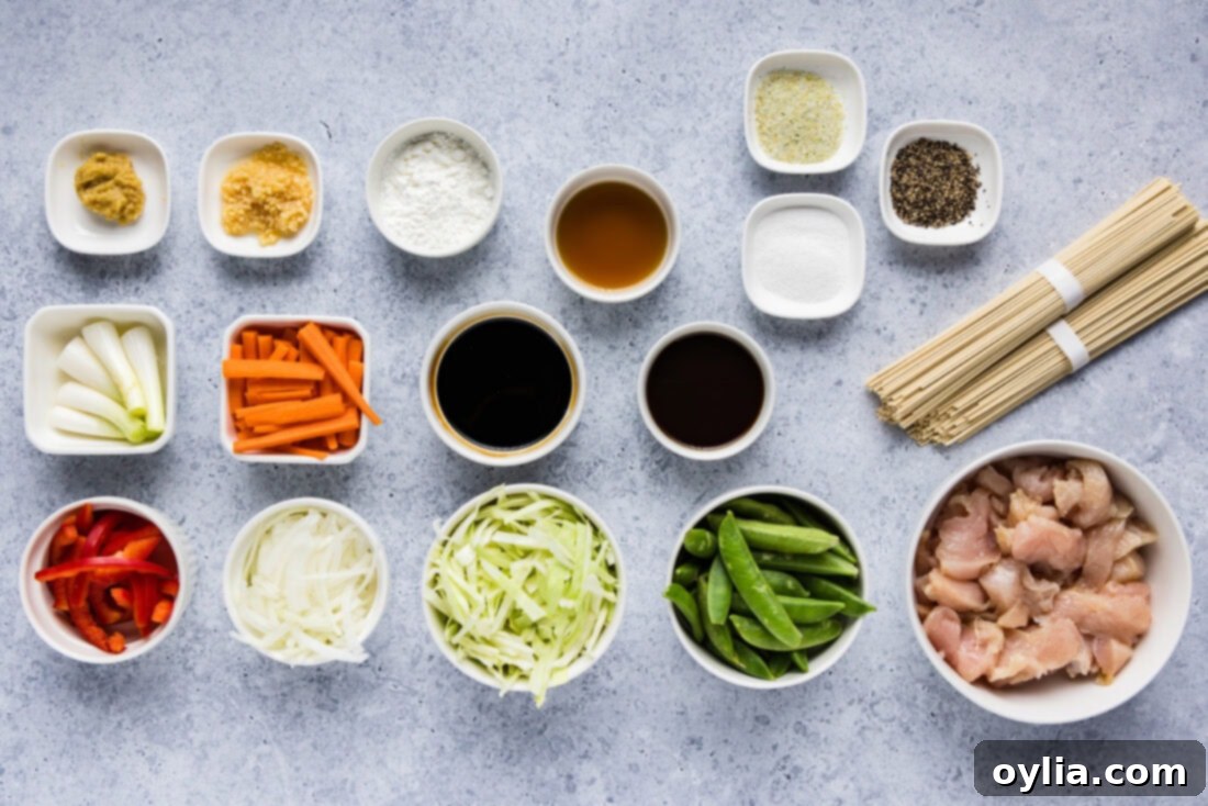 Ingredients for Chicken Lo Mein