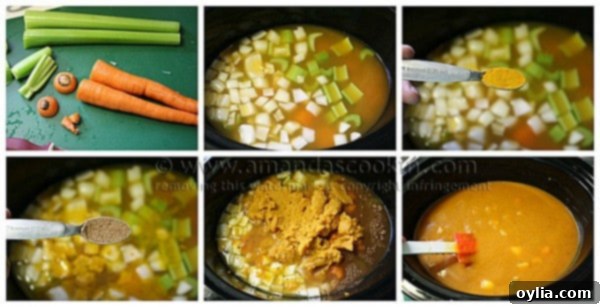 Pumpkin Soup for the Slow Cooker