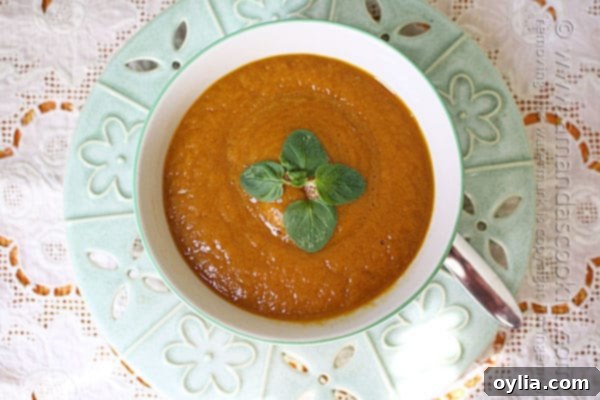 An overhead photo of a bowl of pumpkin soup with fresh parsley on top.