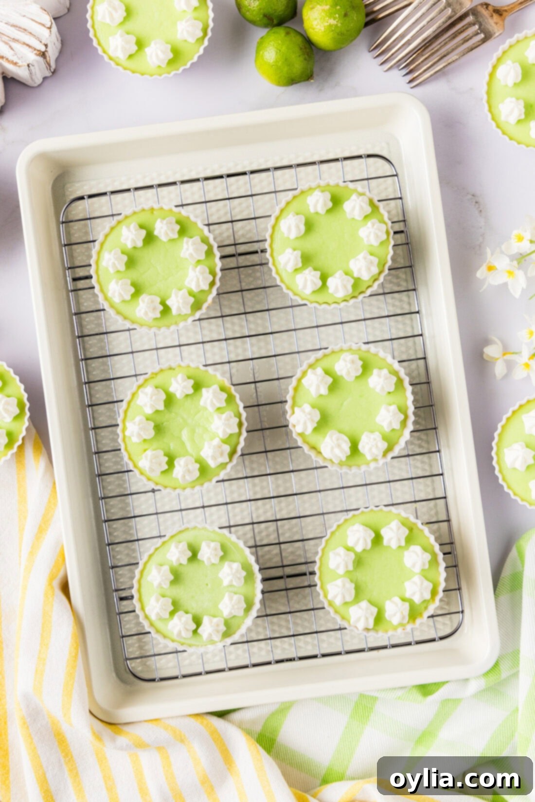 Keto Lime Cheesecake Bites on a wire rack, garnished with lime zest.