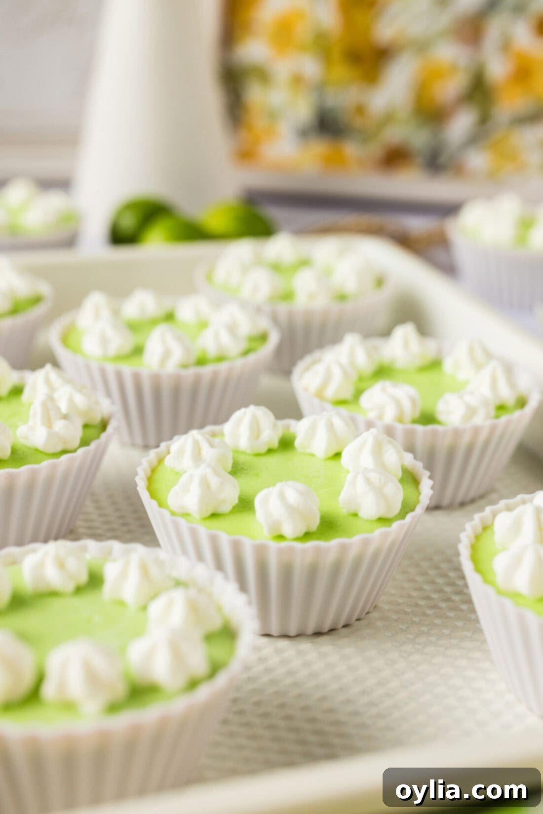 Keto Lime Cheesecake Bites beautifully arranged in a serving tray.