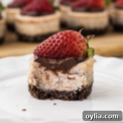 Close up photo of a Mini Strawberry Cheesecake with a bite removed