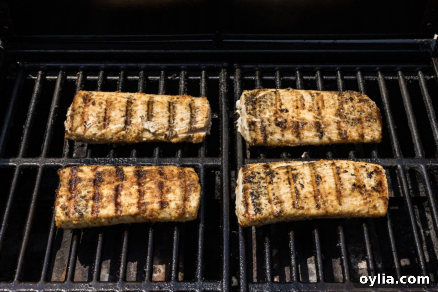 cooked mahi mahi filets with grill marks