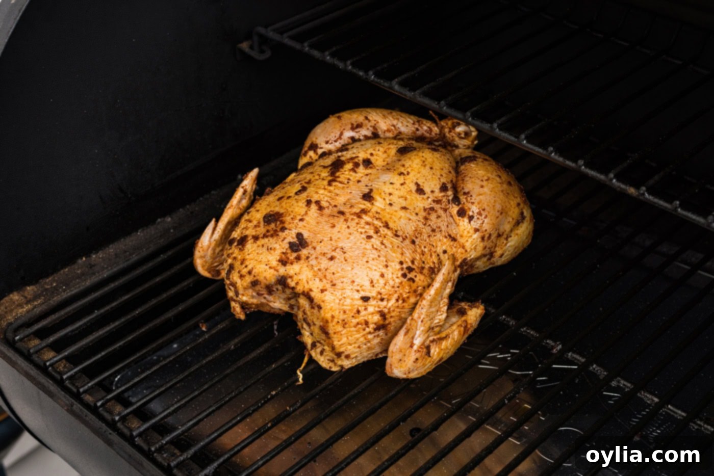 seasoned whole chicken on smoker grates
