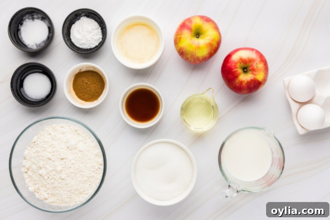 Ingredients for Apple Muffin batter