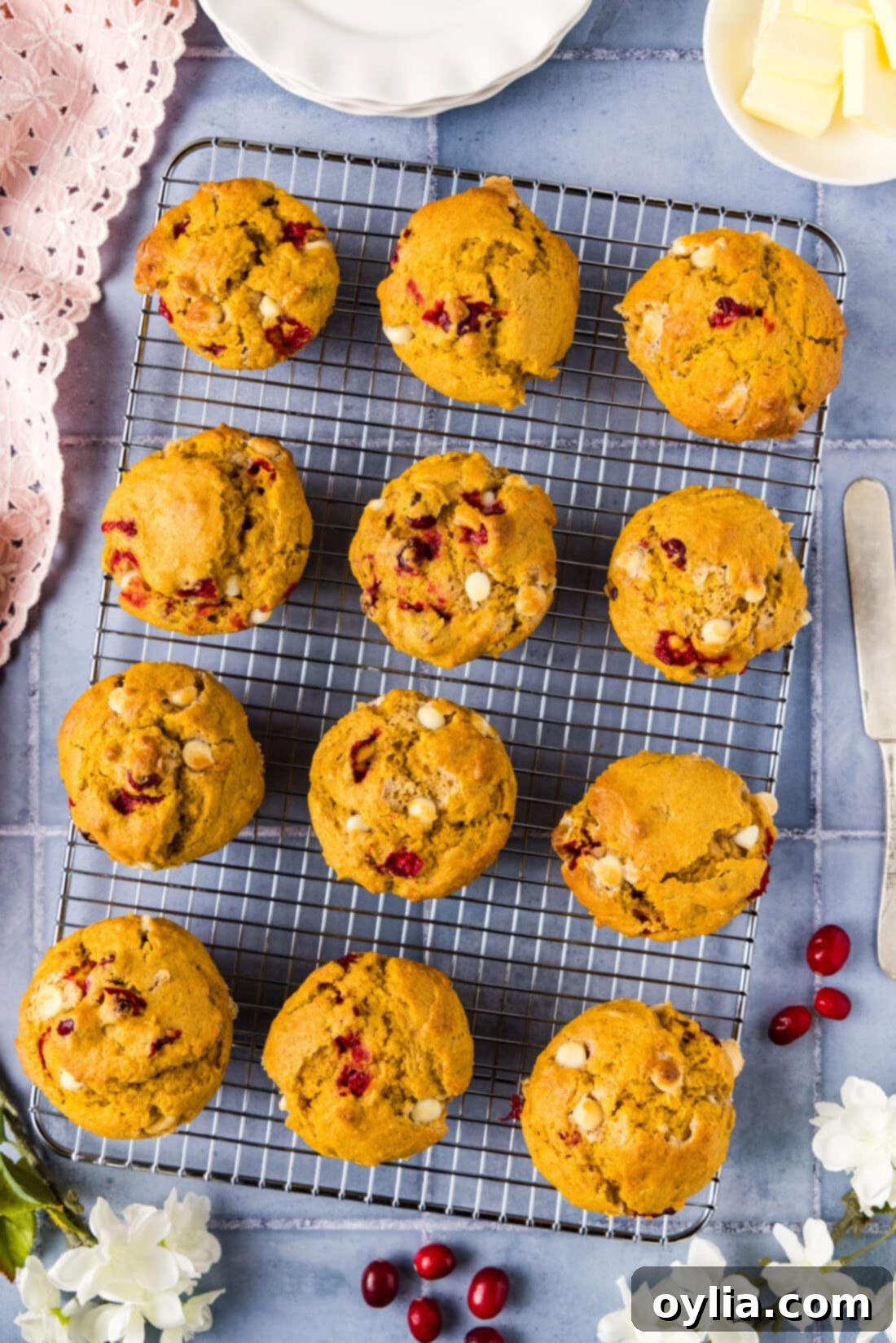 Spiced Pumpkin Cranberry Muffins 2 Fluffy Pumpkin Cranberry Muffins resting on a wire rack, showcasing their crackly tops and vibrant inclusions.