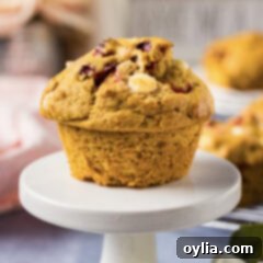 Spiced Pumpkin Cranberry Muffins 12 Pumpkin Cranberry Muffin on a cupcake stand