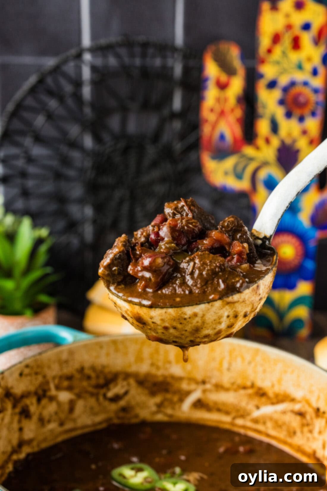 Hearty Short Rib Chili 2 Ladle of Short Rib Chili held over a pot