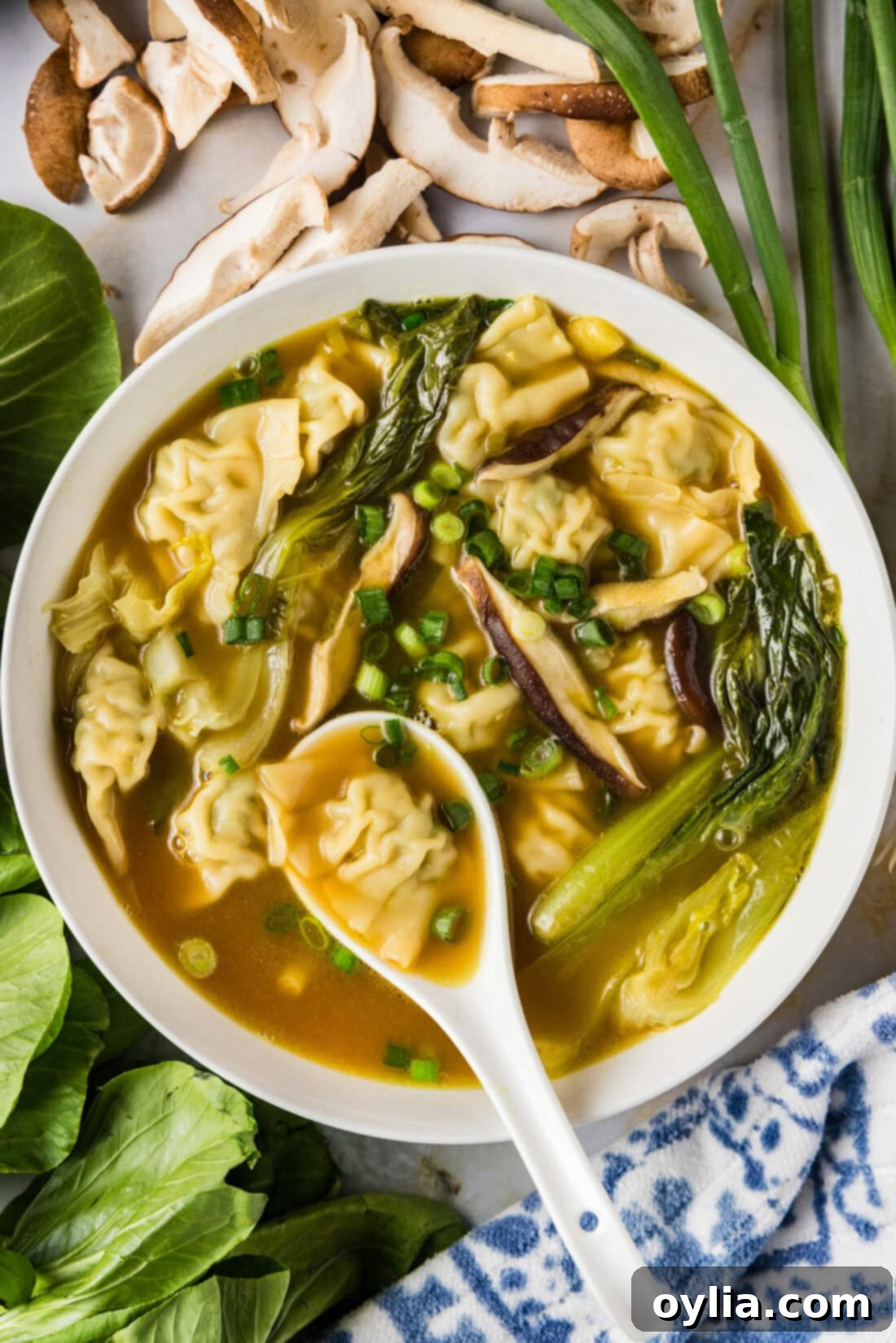Bowl of Wonton Soup with a spoon in it and green onions, mushrooms and baby bok choy around it