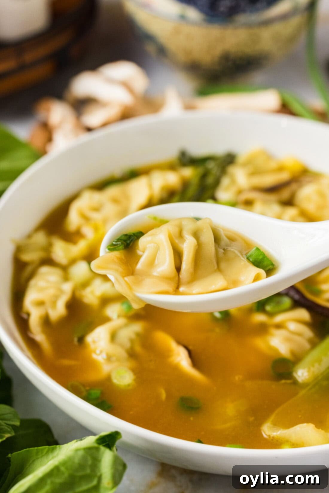 Close up photo of a wonton on a spoon held above a bowl of Wonton Soup