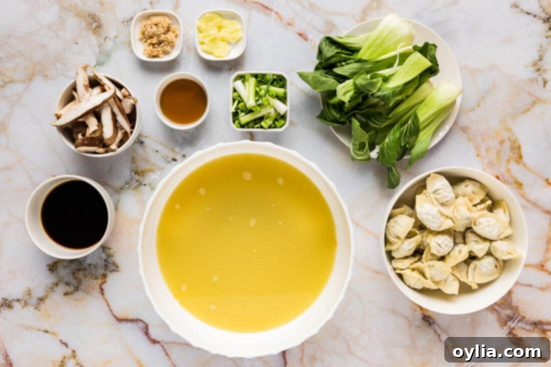 Ingredients for Wonton Soup