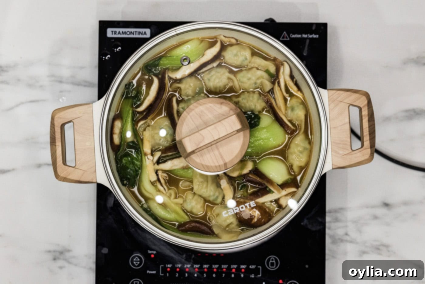 lid on stockpot with wonton soup inside