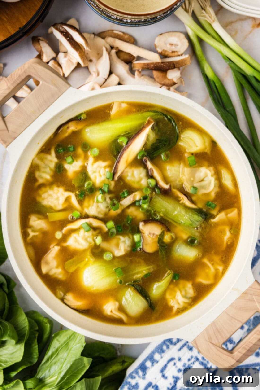 Bowl of Wonton Soup with fresh vegetables around it