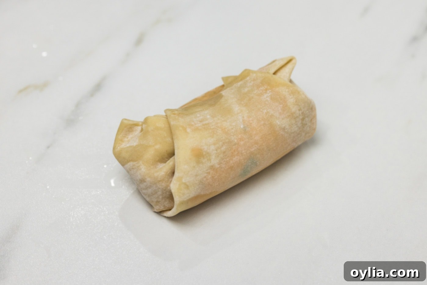 A perfectly sealed buffalo chicken egg roll, ready for frying