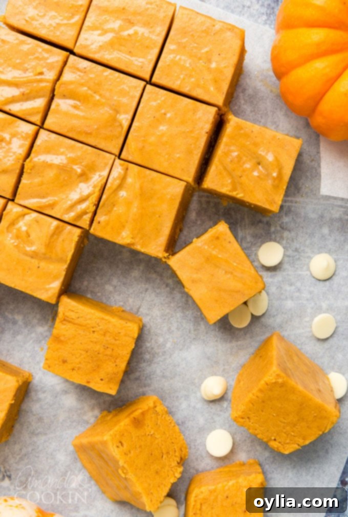 overhead view of sliced pumpkin pie fudge